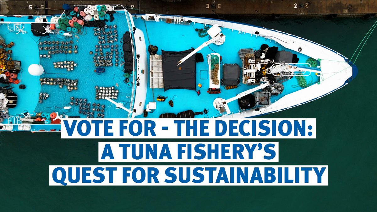 MSCecolabel's tweet photo. 📺 We need your vote! Our film is a nominee in this year’s Smiley Charity Film Awards: https://t.co/pDKWaCeDhP
The film tells the story of how Echebastar became the world’s first large-scale tuna FAD fishery to gain certification to the #MSCstandard! #SustainableFishing #CFA24 https://t.co/Lt8AEX863G