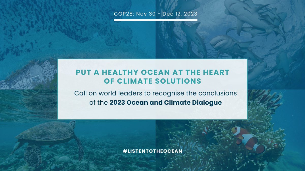 A healthy and biodiverse 🌊 regulates climate, buffers our shorelines, provides abundant and nutritious food, ensures wellbeing, preserves cultural heritage, and supports sustainable livelihoods of billions of 🧑‍🤝‍🧑. It's a no-brainer!
#ListenToTheOcean #COP28 #OceanForClimate