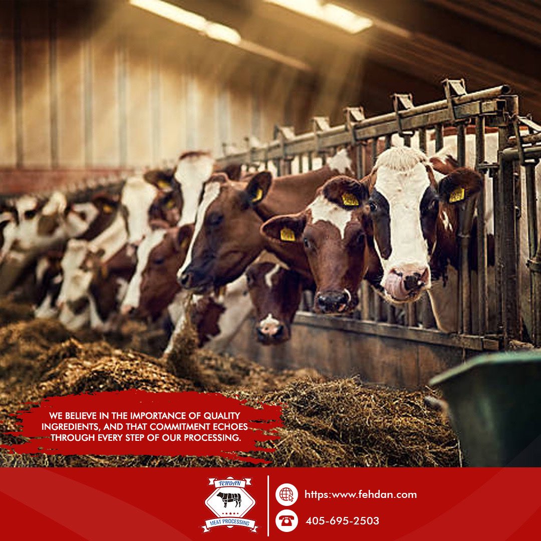 fehdanmeatp1's tweet photo. ✅And the journey starts on the farms, where we source only the highest quality, ethically raised animals. https://t.co/yjPtKEQ3qr
