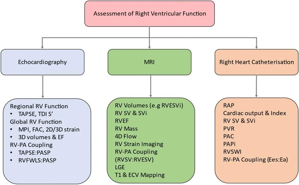 ZHeart11768530's tweet photo. Assessment of Right Ventricular Function—a State of the Art  #2023Review 
#Openaccess

https://t.co/AJX8qre1RN
#CardioTwitter #cardioEd #Cardiology https://t.co/L6vcHGlvFa
