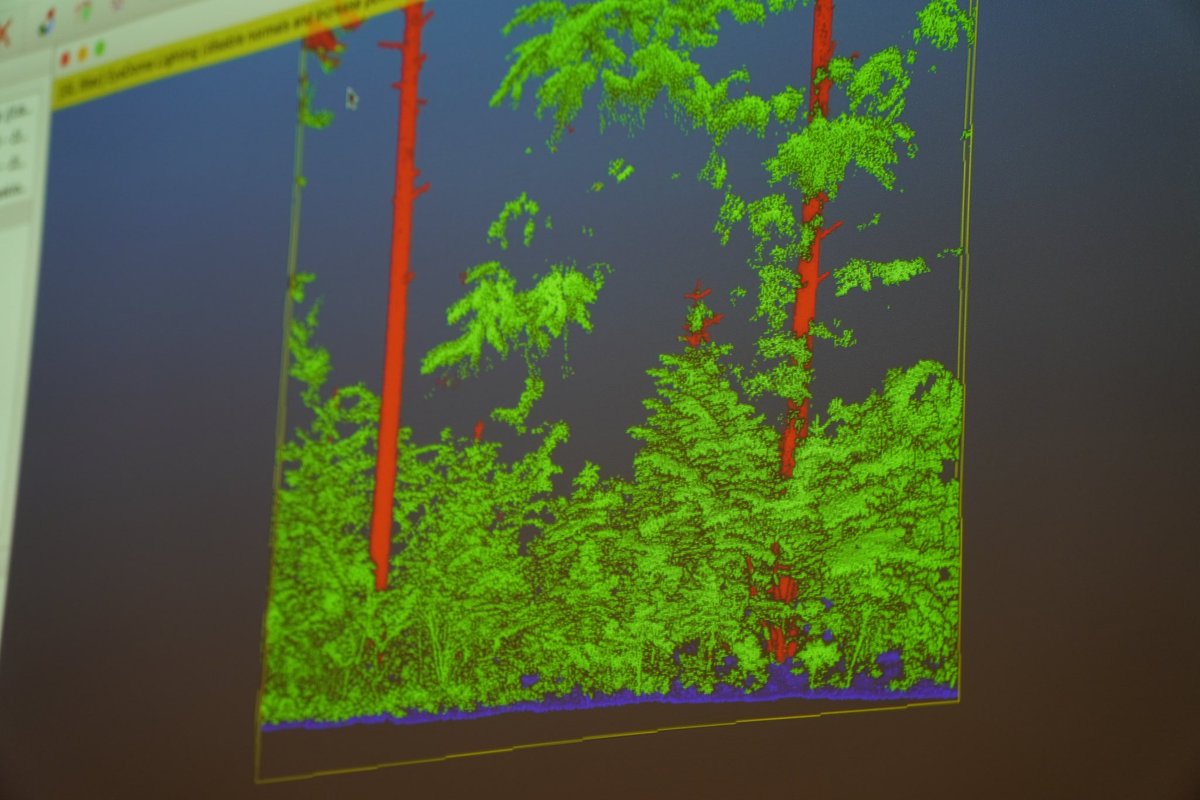 Let’s talk about what we learned! <a href="/3DForEcoTech/">3DForEcoTech</a> focuses on how to monitor and understand forests with terrestrial based technologies - and in the summer school we taught students how to process the data from the field! Aren’t these point clouds beautiful? 🌳😇 #pointcloud #forest