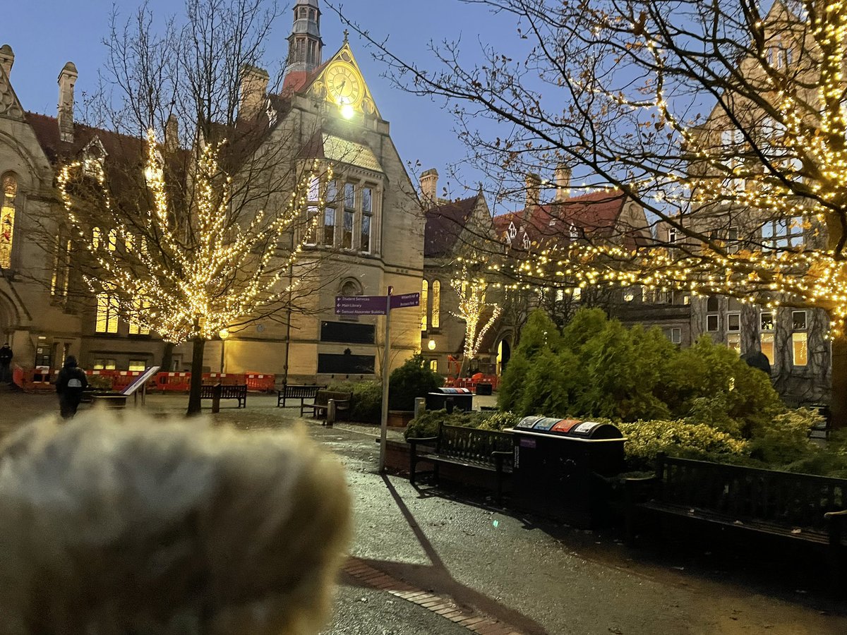 Lady A had day out with hoom at work and she met Mums colleague Helen’s friend Benjamin. They are having a Gluhwein.  #BearsWithJobs