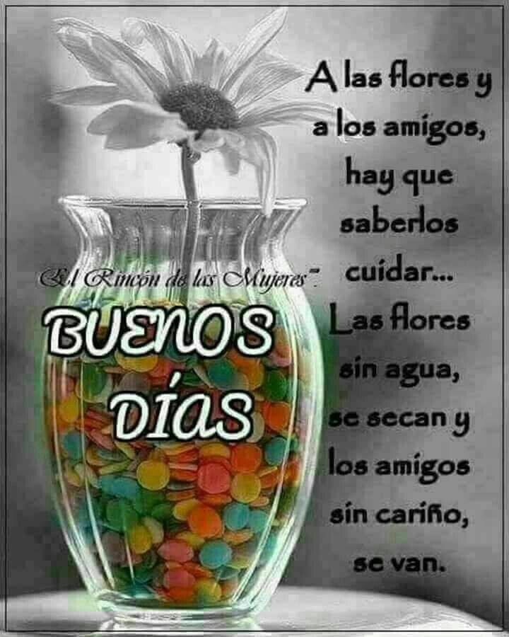 Excelente día