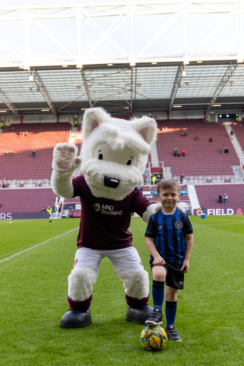 paul stodds tweet media