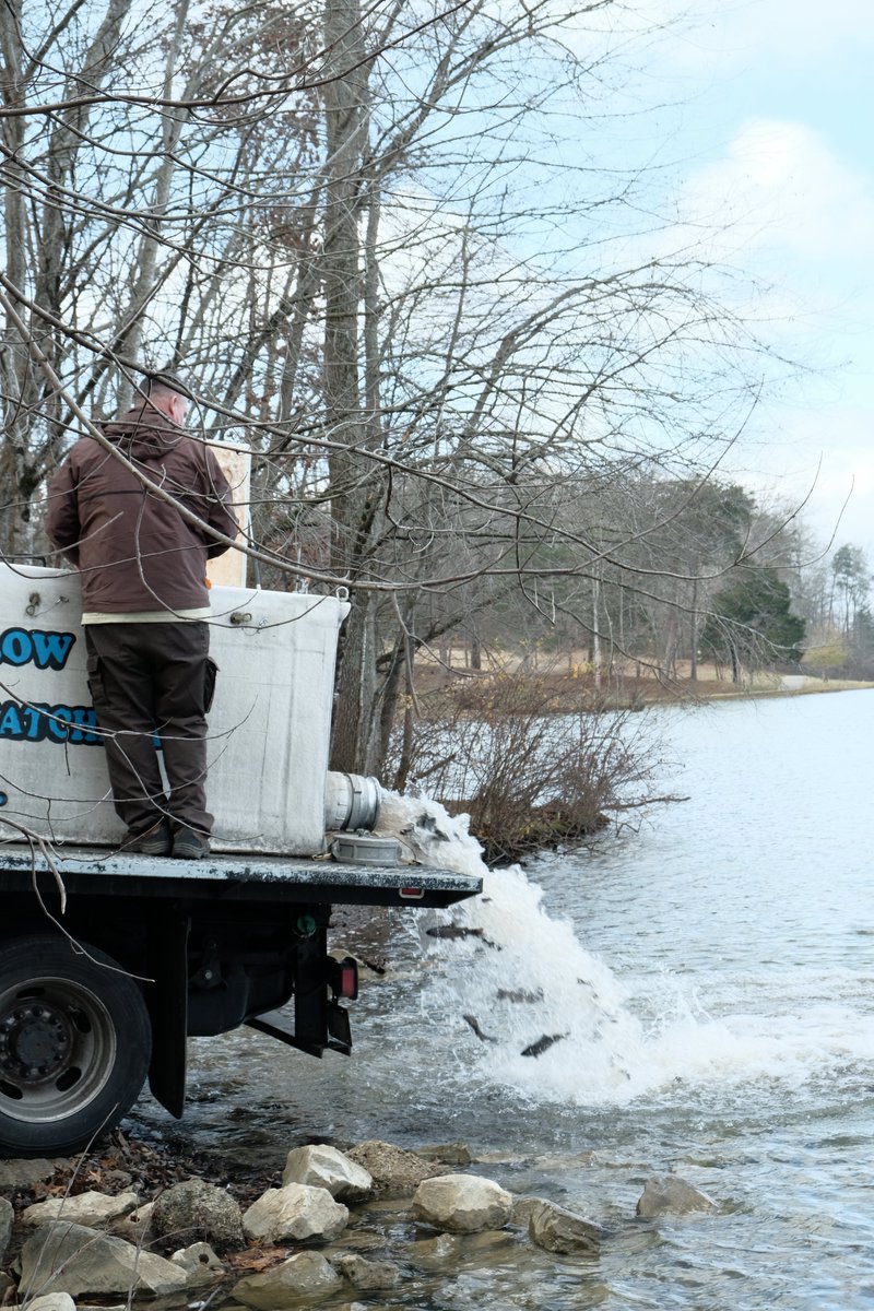 Winter #trout restock! 🐟

Bring your fishing gear and cast a line! 1,500 trout were released into the lake at Cane Creek Park this morning. More trout will be release on Jan. 17.

Anglers over the age of 12 must have their #fishing license to fish at Cane Creek Park.