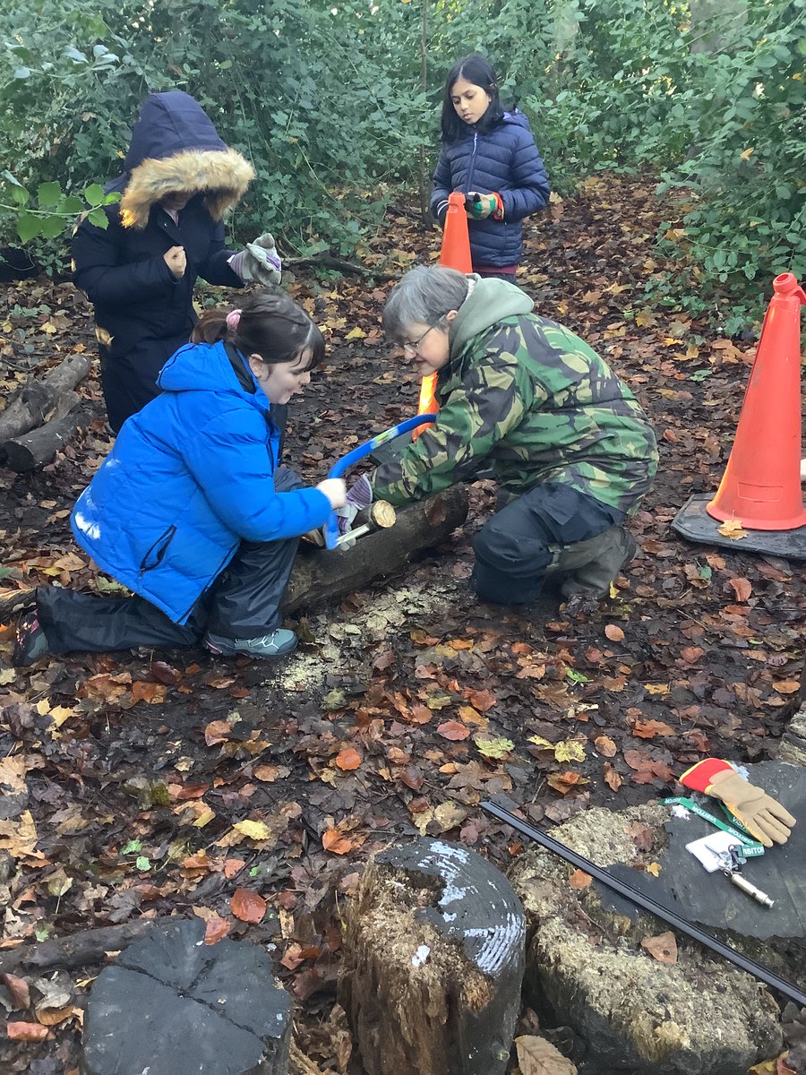 TyntesfieldGL's tweet photo. In Woody Wanderers, we have been learning how to saw wood safely. #TPSOutdoorlearning https://t.co/ZZYonuRObC