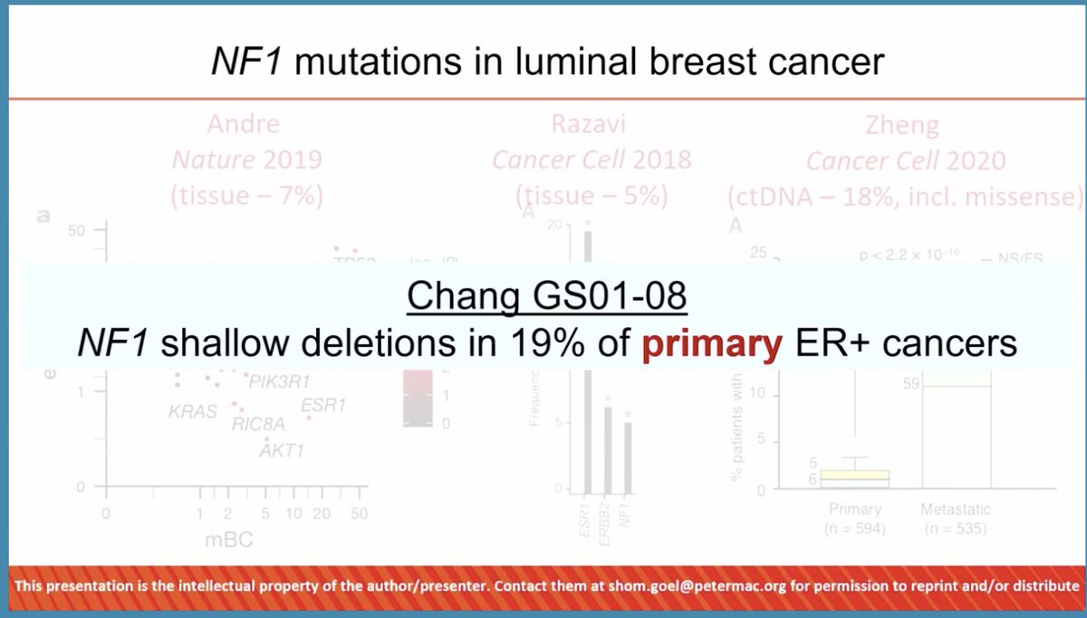 Beautiful discussion by <a href="/shomgoel/">Shom Goel</a>   

NF1 loss assoc 2/endocrine resistance
NF1 low/mutant tumors more sensitive to cdk 4/6i 
NF1 loss leads to ⬆️phosphorylation of cdk4 + Rb

Functional loss of NF1 may be more common in ER+ BC than previously thought.

<a href="/OncoAlert/">OncoAlert</a> #SABCS23