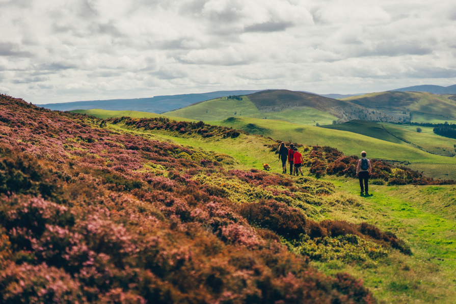 Offa's Dyke Path National Trail tweet media