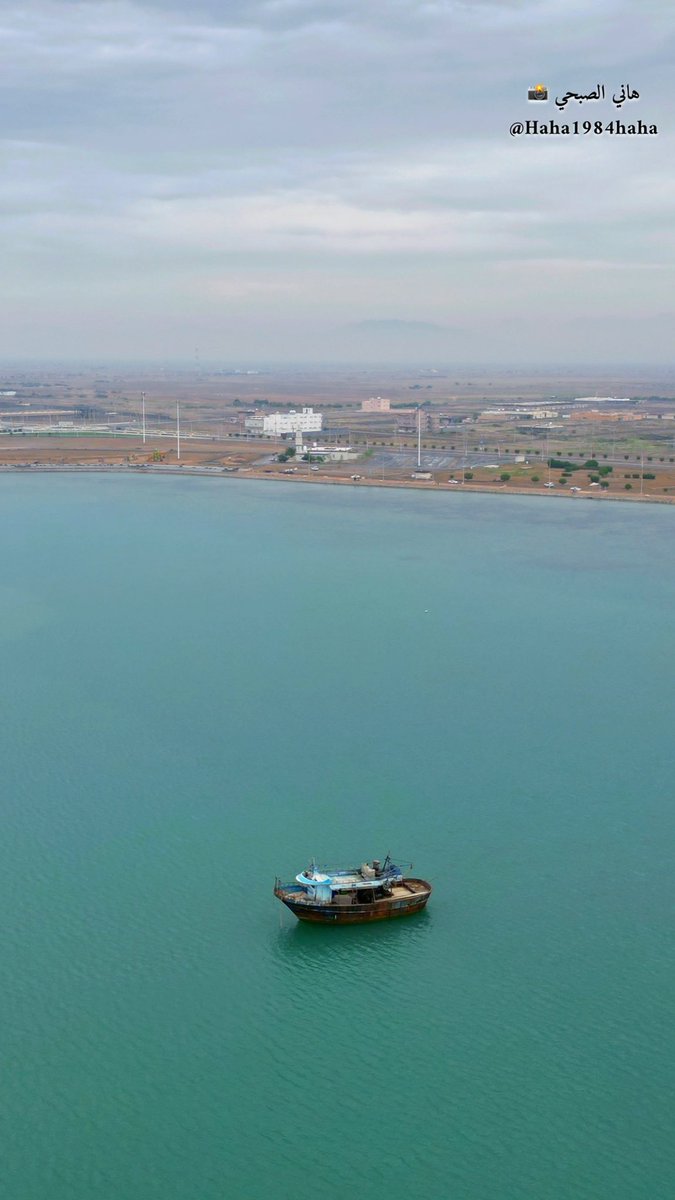 هاني الصبحي 📸 tweet media