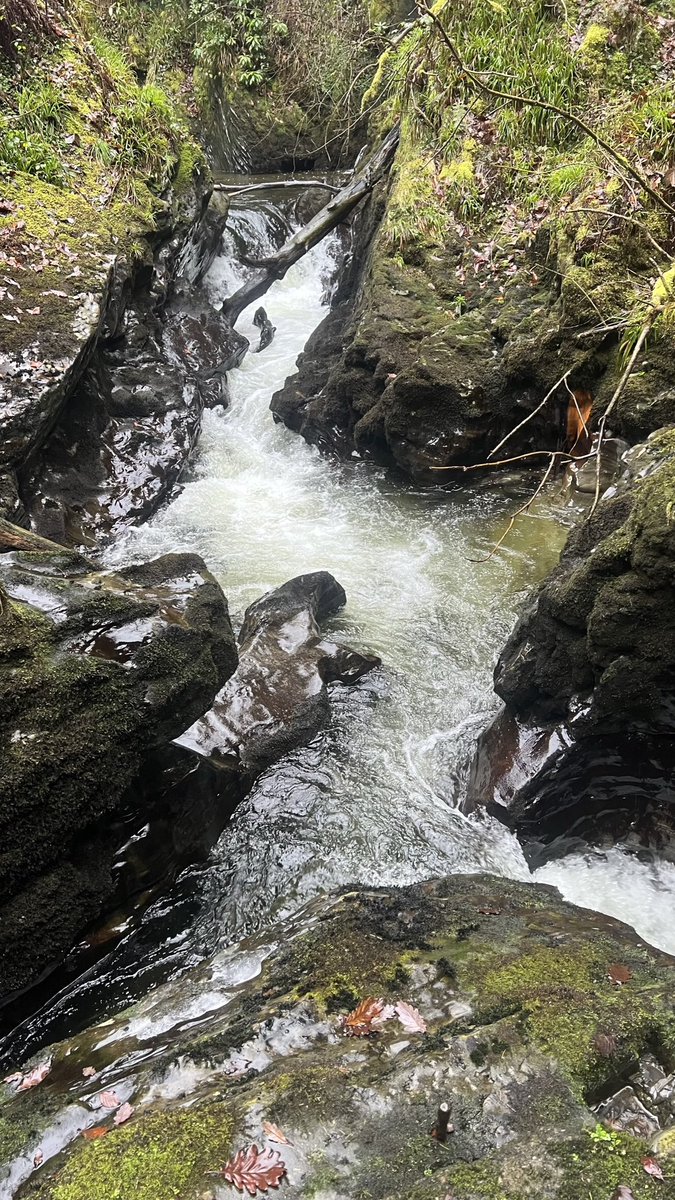 wapple15's tweet image. #WaterfallWednesday #DevilsBridge 🏴󠁧󠁢󠁷󠁬󠁳󠁿