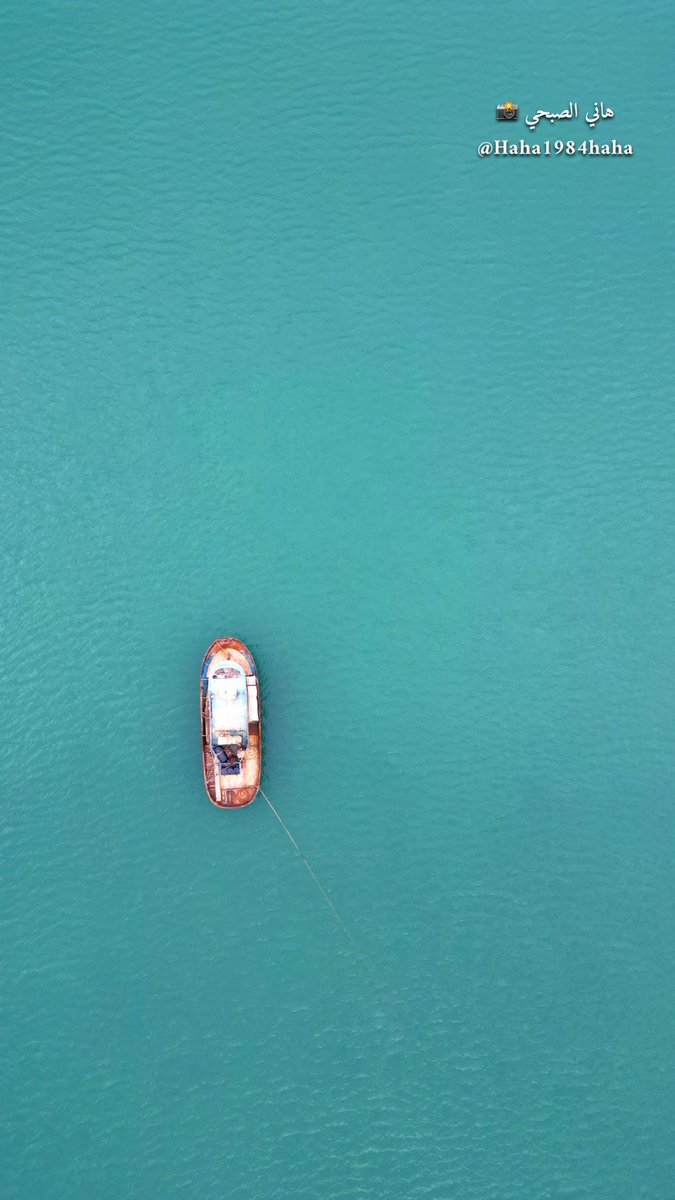 هاني الصبحي 📸 tweet media