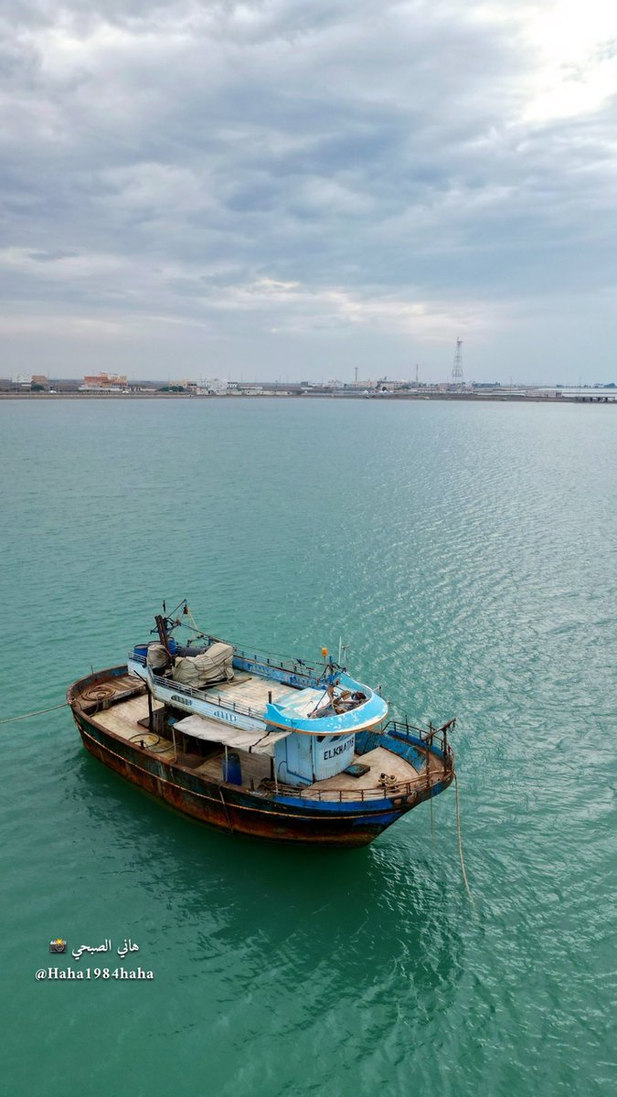 هاني الصبحي 📸 tweet media