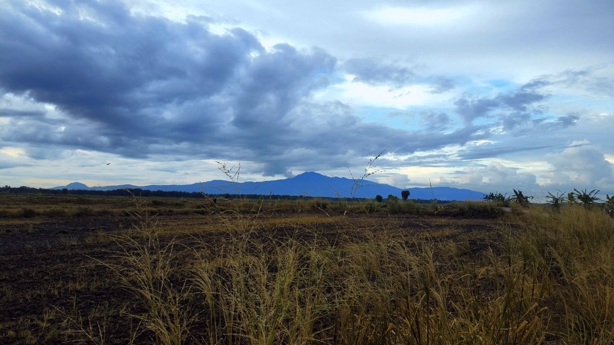 nephophilinia's tweet photo. Fall hard for november skies. https://t.co/IybRBCSY7l