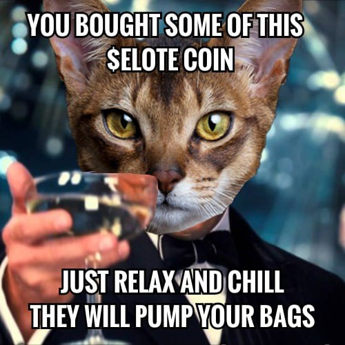 Elotè | SOL Chain tweet media