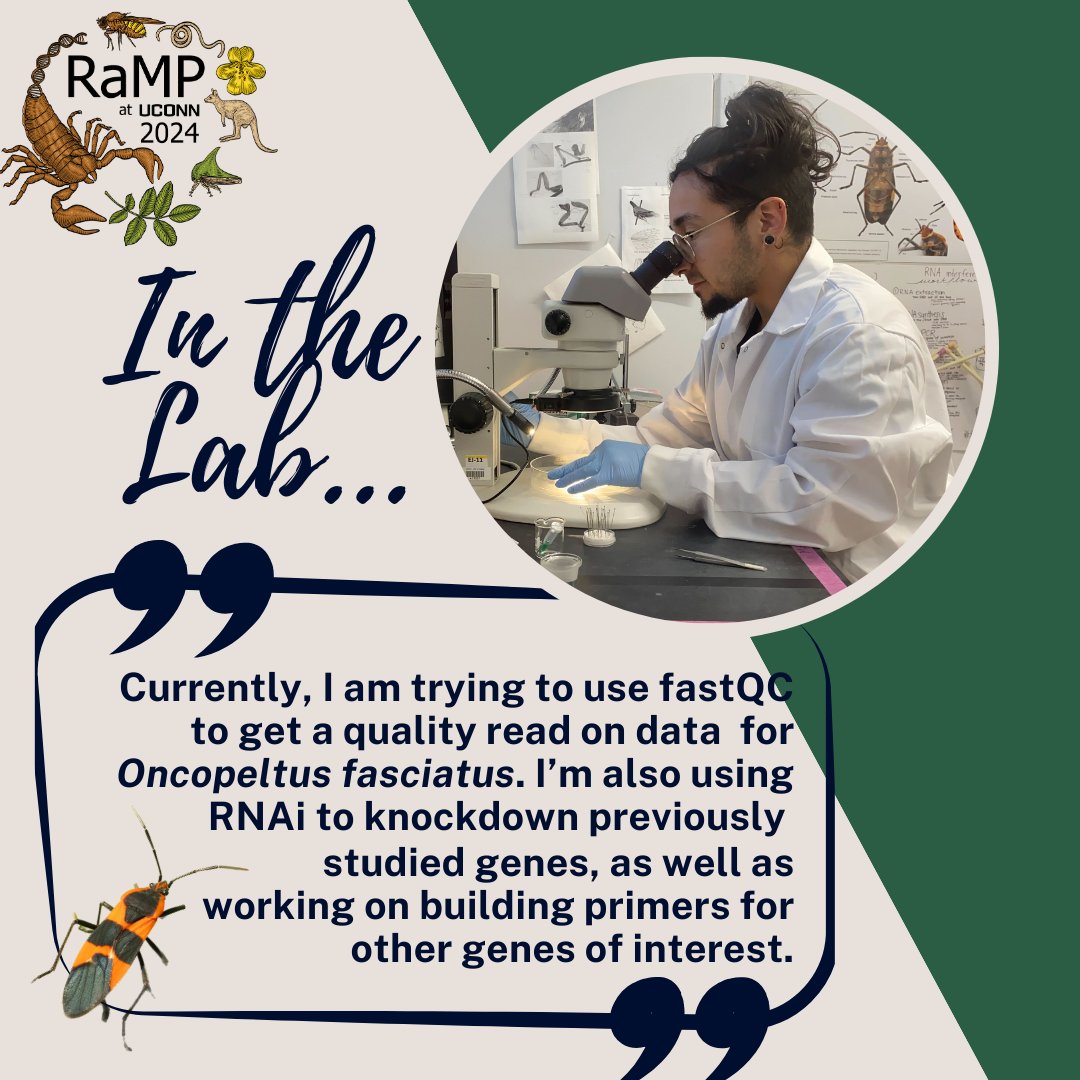 UCONNRaMP's tweet photo. This week's "Meet Our Rampers" post spotlights β¨ Asher Coello β¨ Explore Asher's experience as a member of the Jockush lab and learn what it's like being a RaMP scholar.π¬π§¬#RaMPProgram #MeetOurRampers #ScienceSpotlight π₯Ό "Nothing is ever boring or unchanging!" https://t.co/nNYJQwvteP