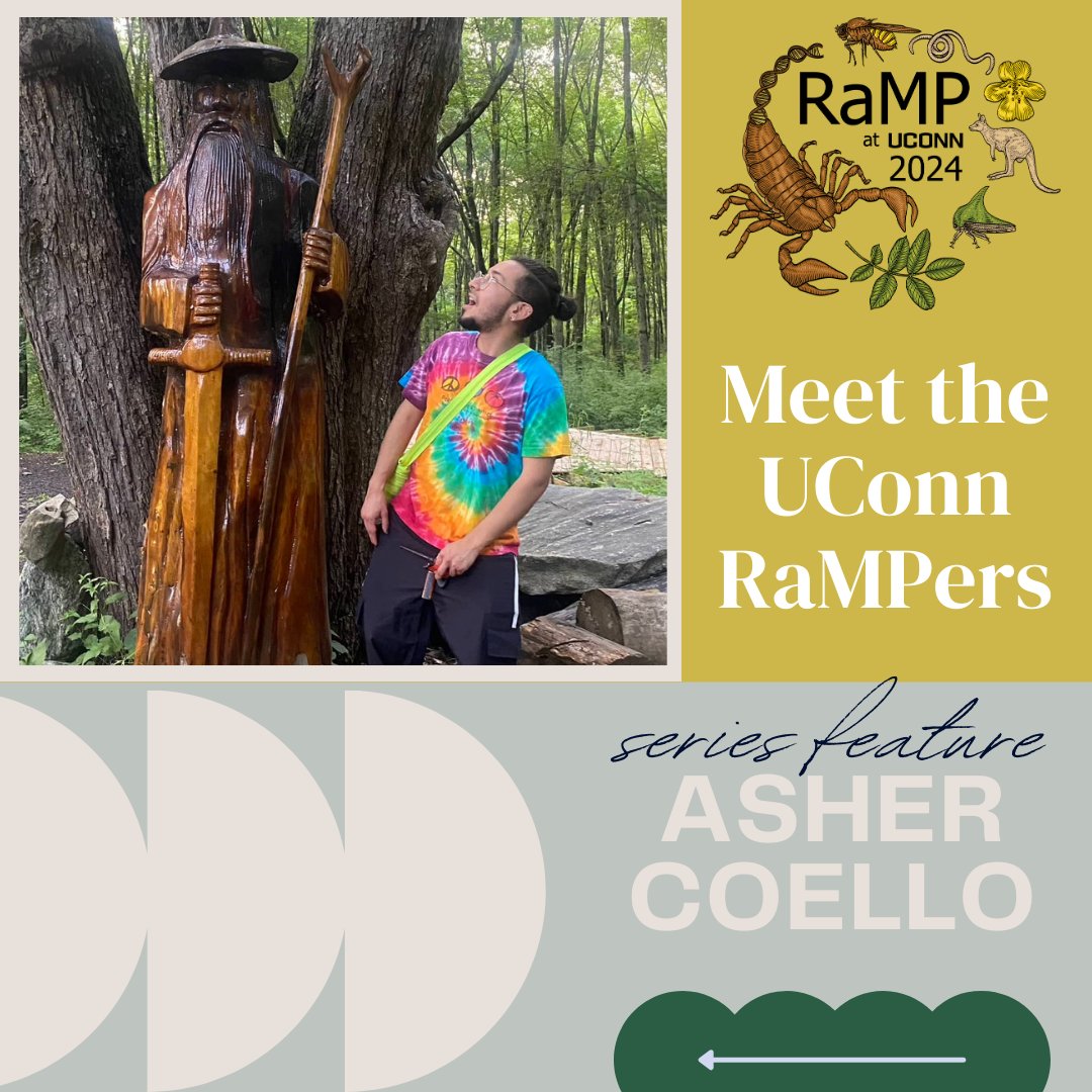 UCONNRaMP's tweet photo. This week's "Meet Our Rampers" post spotlights β¨ Asher Coello β¨ Explore Asher's experience as a member of the Jockush lab and learn what it's like being a RaMP scholar.π¬π§¬#RaMPProgram #MeetOurRampers #ScienceSpotlight π₯Ό "Nothing is ever boring or unchanging!" https://t.co/nNYJQwvteP