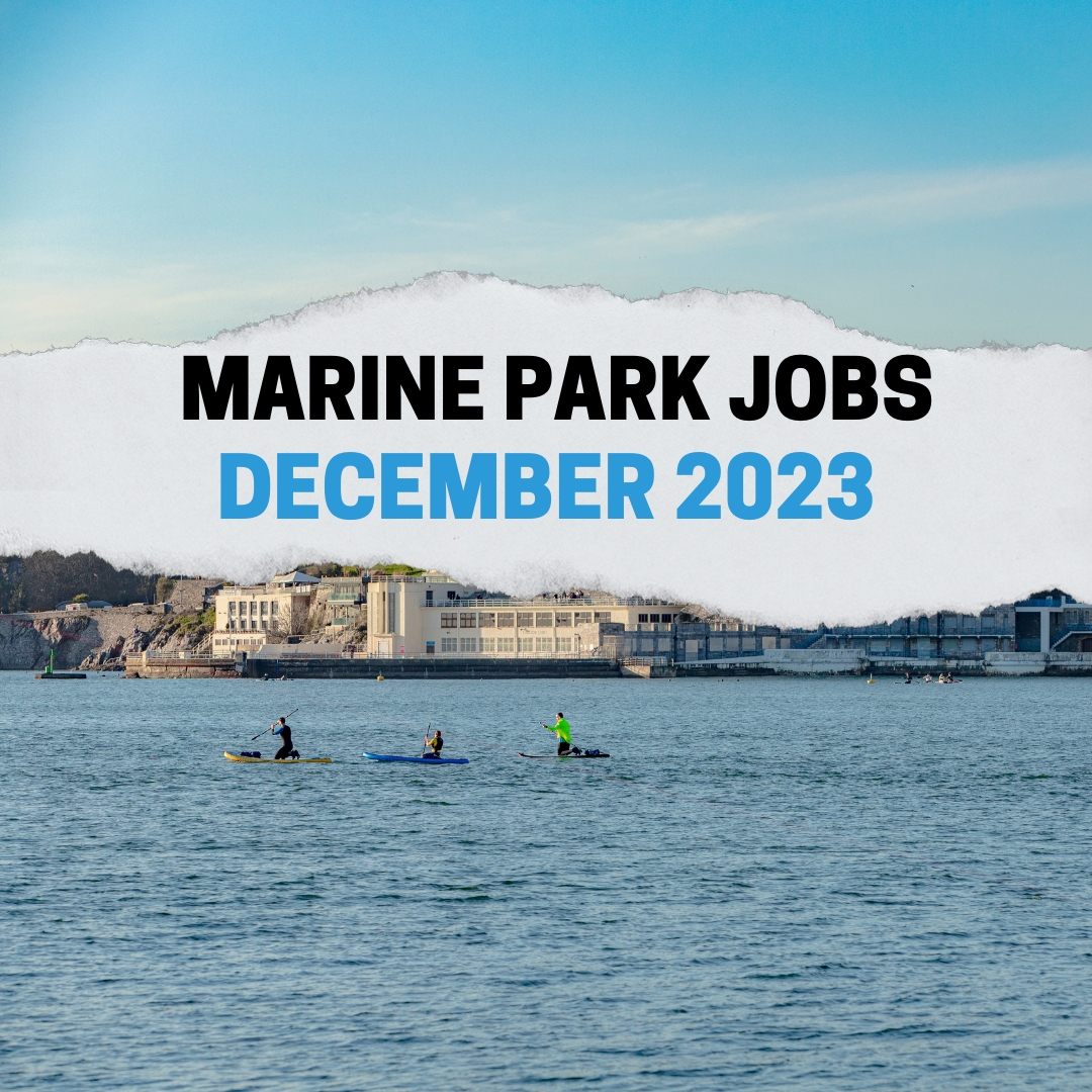 Check out all the #career and #job opportunities based in and around Plymouth Sound National Marine Park! plymouthsoundnationalmarinepark.com/monthly-marine…