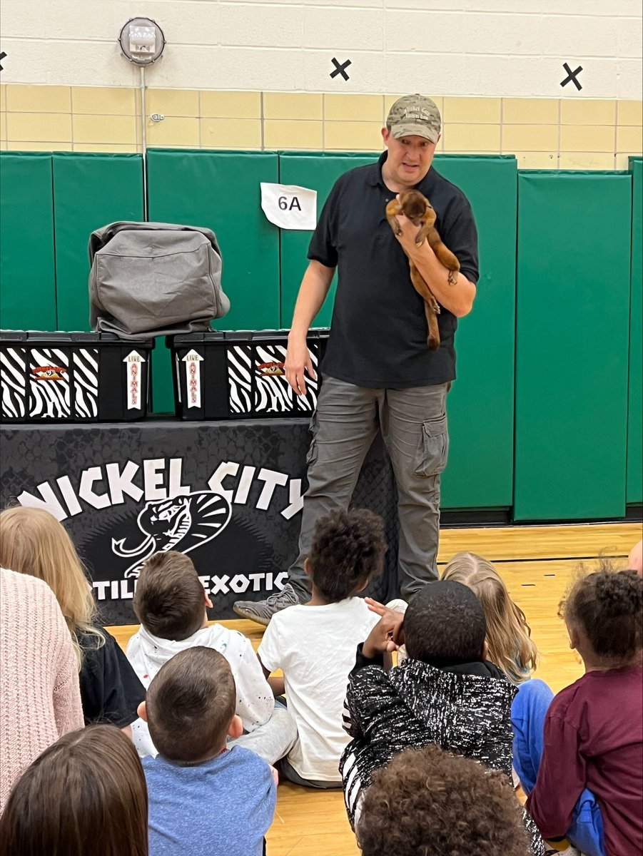 Elmwood Village CS tweet media