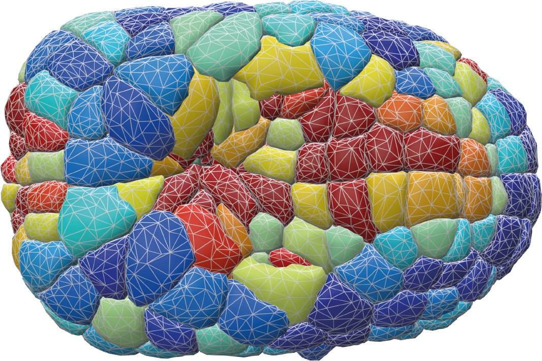 Our approach to infer forces from 3D fluorescence microscopy is published in Nature Methods ! t.ly/_oaXt Congrats to all authors @SachaIchbiah @RDumollard @Alex_Mc_Dougall @HerveTurlier Simply type pip install foambryo to try And stay tuned... @CirbCdf @CNRSbiologie