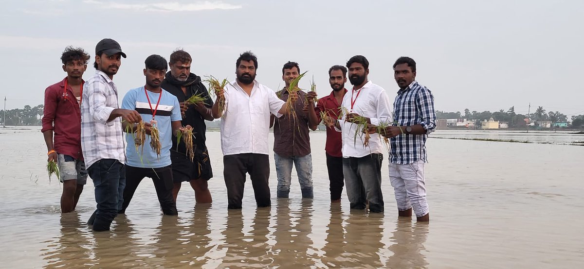 JSP_Gudur's tweet photo. గూడూరు నియోజకవర్గంలోని చిట్టమూరులో మిచౌంగ్ తుపానుతో నీట మునిగిన వరినార్లు పరిశీలించి నష్టపోయిన రైతులను ఆదుకోవాలని ఉమ్మడి నెల్లూరు జిల్లా @JanaSenaParty ��పాధ్యక్షులు @ChandraTheegala డిమాండ్
@PawanKalyan @mnadendla @NagaBabuOffl @JSPManuKranth @AjayaKumarJSP #Michaungcyclone https://t.co/Rt3YR2DhIt