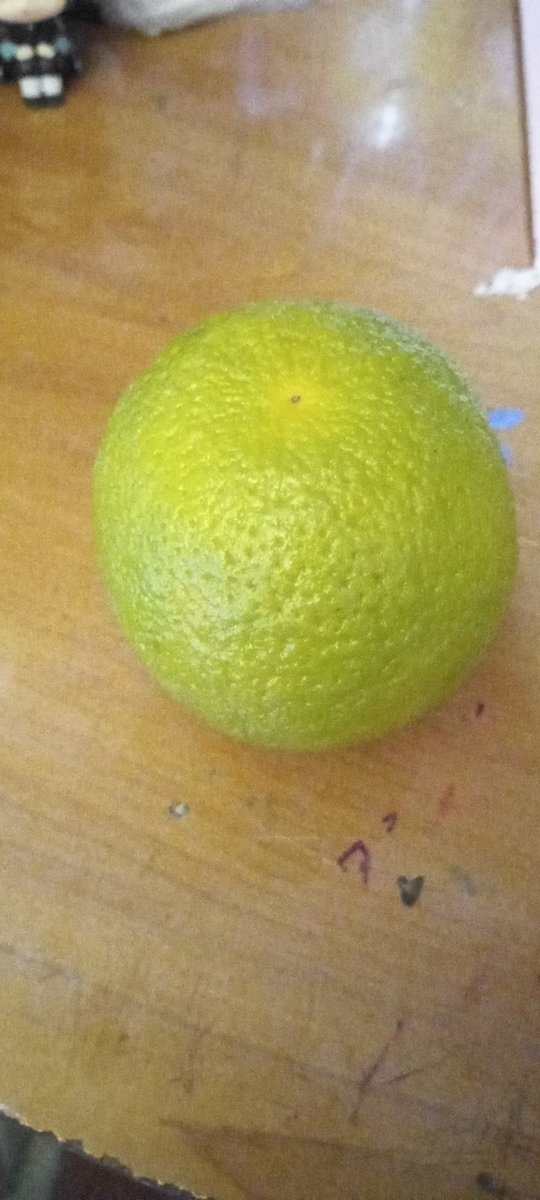 Sukinxprl1's tweet photo. No se si en verdad es una naranja o es un limón DJDK. https://t.co/azrzPhPul9