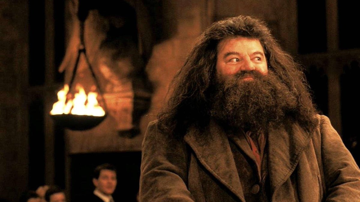 'There is no Hogwarts without you Hagrid' 
Rubeus Hagrid, a favorite character among many in the Harry Potter fandom celebrates his 95th birthday today.
#books #RobbieColtrane #Hagrid #HarryPotter #birthdays #fiction #readerscommunity