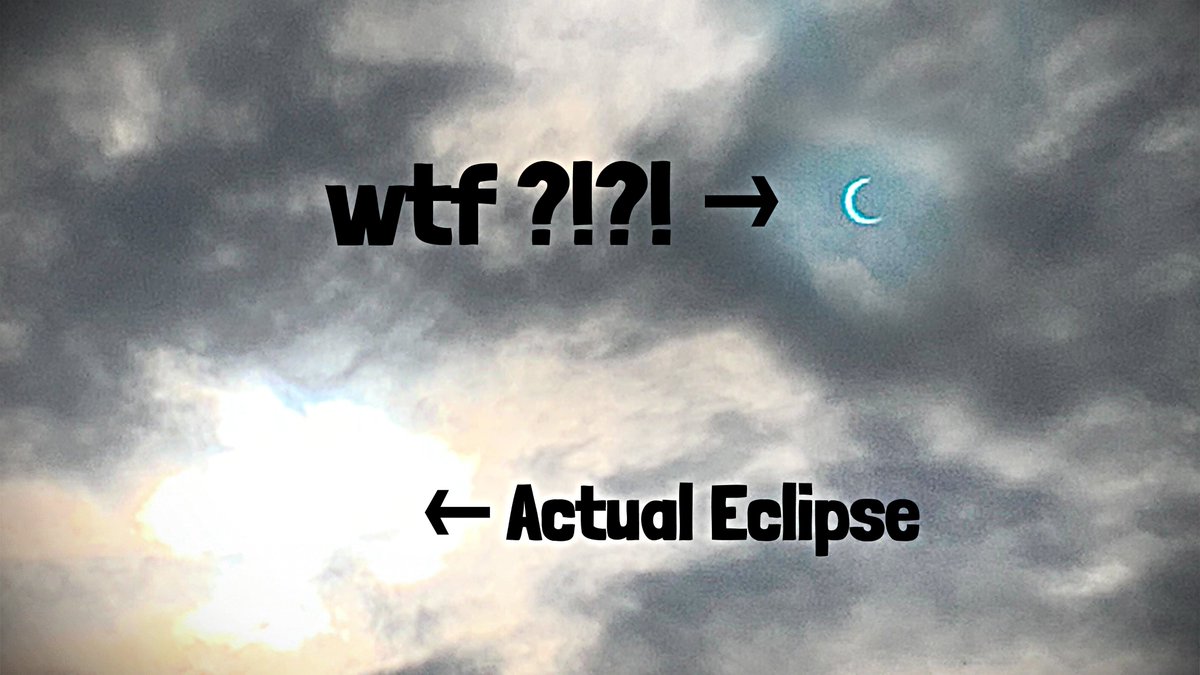 Henry Reich tweet media