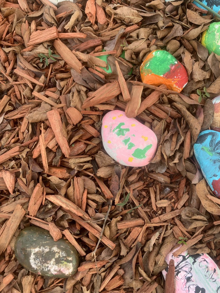 JLBrener's tweet photo. I loved walking out of @ForestGroveES this morning and seeing all their kindness rocks! https://t.co/nsqTjOaA1E