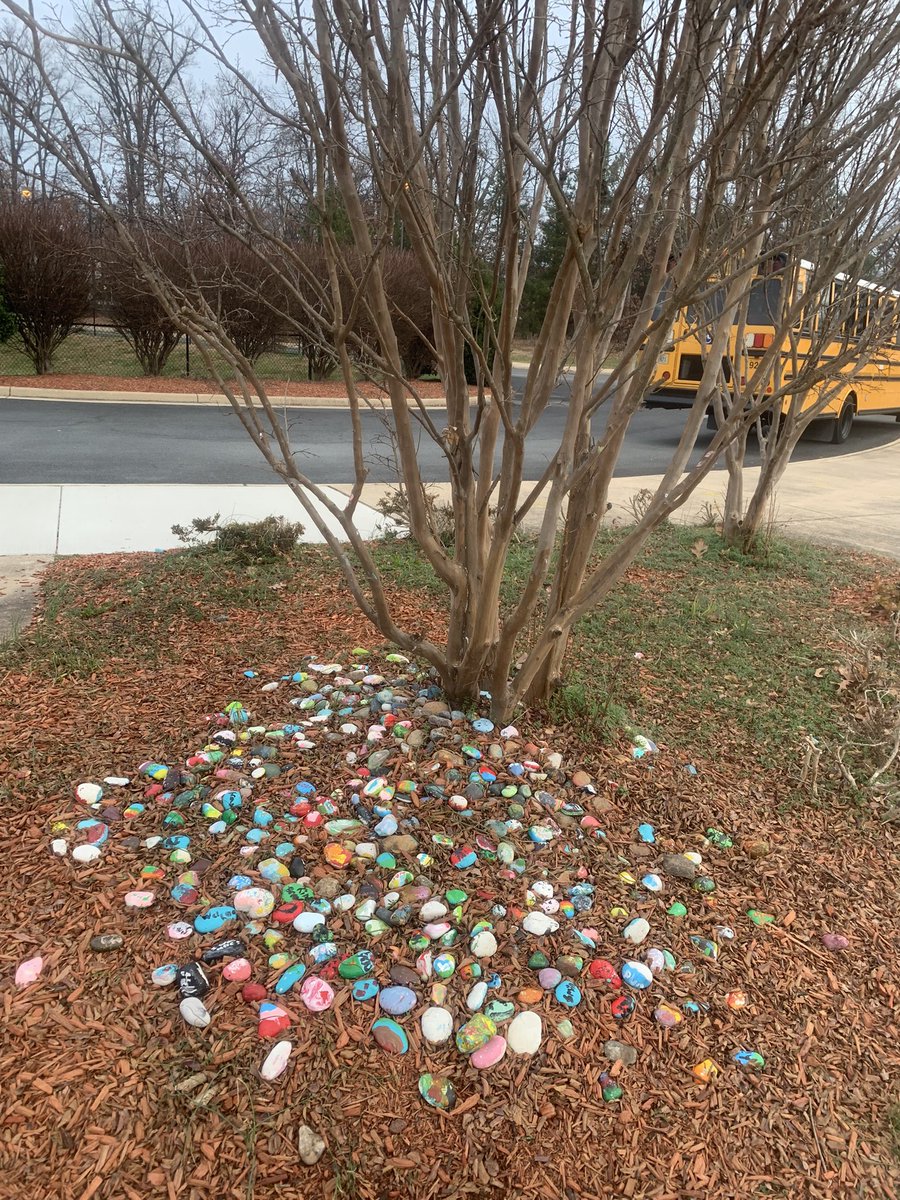 JLBrener's tweet photo. I loved walking out of @ForestGroveES this morning and seeing all their kindness rocks! https://t.co/nsqTjOaA1E