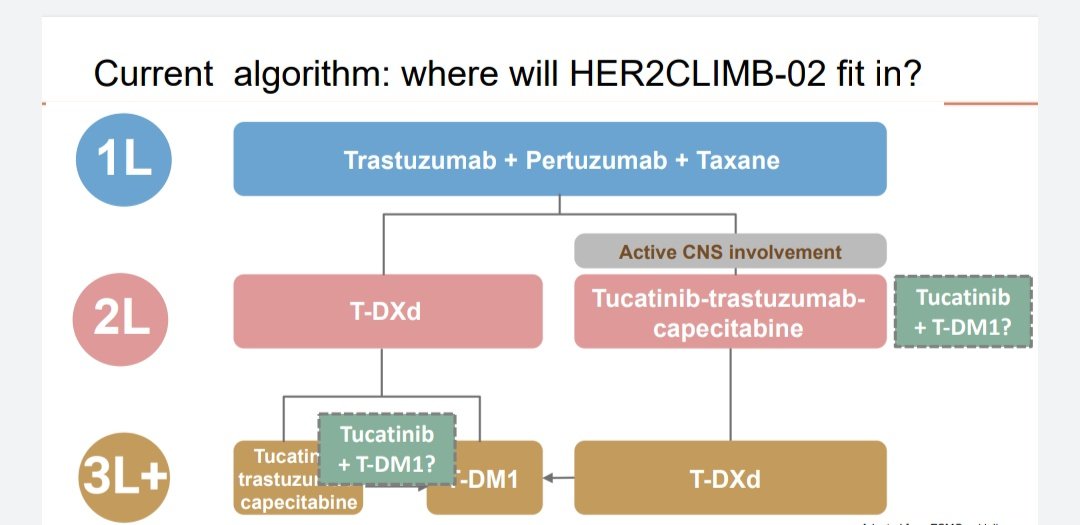 Current treatment algorithm for metastatic her2 postive breast cancer
 And where can we fit tucatinib plus TDM1 ? Intresting. @SABCSSanAntonio #SABCS23 @OncoAlert