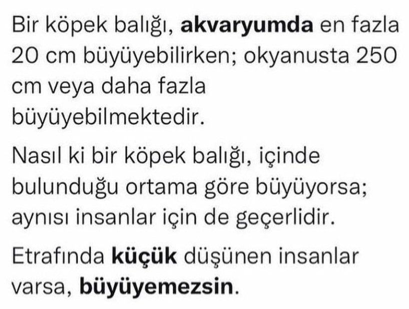 gönen kansu karakuş (@gkkarakus) on Twitter photo 