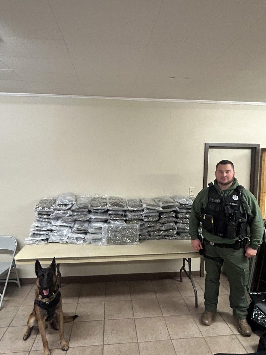 K-9 Officer D. Cook and his Partner Bosco was working hard last night! Traffic stop on I-40 that resulted in approximately 95lbs of Marijuana! Great job team!! Who’s a Good Boy!! #oplive #hazenpd #k9Bosco #opnation