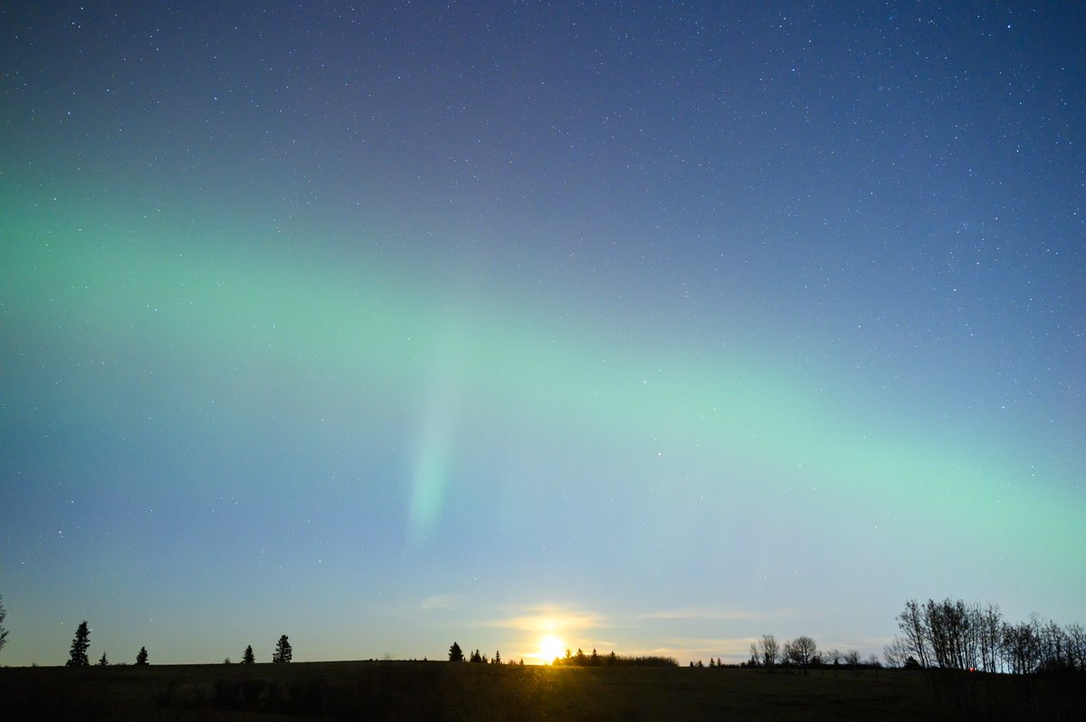 Matthew Thompson tweet media