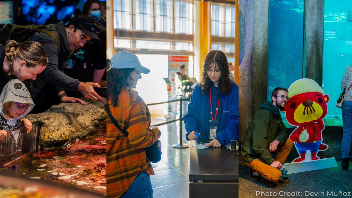 Seattle Aquarium tweet media