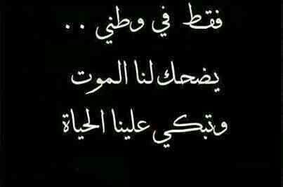 العشق المقدس الذي يستحق الجود بالنفس والروح هو حب الله والوطن وهذا هو عشقنا المقدس يتجلى في أبهى صوره
#القوات_المسلحة_اليمنية 
#غزة_تُباد 
#غزة_تحت_القصف 
#غزه_تقاوم_وستنتصر 
#غزة_تزحف_الى_القدس