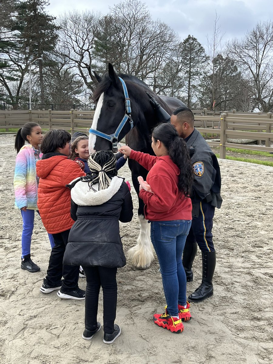 Brian Colton (@briancolton) on Twitter photo Thank you to Sgt. Courville and the <a href="/ProvidenceRIPD/">Providence Police</a> Mounted Command for our field trip. To visit with police horses in person and discuss <a href="/AmericanReading/">American Reading</a> Animal Adaptations was quite the learning experience. <a href="/AndreaLuisi12/">Andrea Luisi</a> <a href="/jennateachesRI/">Jenna Andrade</a> <a href="/CMonterecy/">Courtney Monterecy</a> <a href="/Mr_Tyrrell/">Dylan Tyrrell</a> #FogartyPride Thank you to Sgt. Courville and the <a href="/ProvidenceRIPD/">Providence Police</a> Mounted Command for our field trip. To visit with police horses in person and discuss <a href="/AmericanReading/">American Reading</a> Animal Adaptations was quite the learning experience. <a href="/AndreaLuisi12/">Andrea Luisi</a> <a href="/jennateachesRI/">Jenna Andrade</a> <a href="/CMonterecy/">Courtney Monterecy</a> <a href="/Mr_Tyrrell/">Dylan Tyrrell</a> #FogartyPride