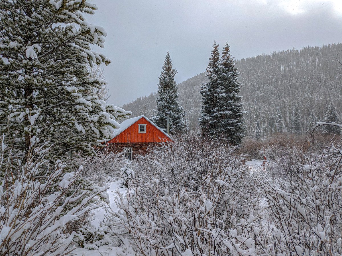 thedancam14's tweet photo. Dreams of a simpler life https://t.co/zk7r7JTtX0