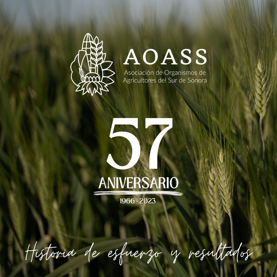 ¡El día de hoy celebramos nuestro 57 aniversario!

Renovamos nuestro compromiso con la actividad agrícola, consientes de que cada cosecha ha sido un capítulo en nuestra historia de esfuerzo y dedicación.

#57AñosDeCompromiso
#AOASS