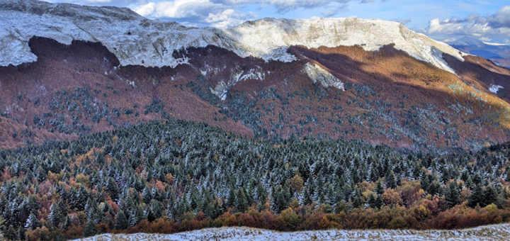 SISEFtweet's tweet photo. 📢 L’Istituto di Bioscienze e BioRisorse (IBBR) del
#CNR è stato riconosciuto come Centro nazionale per lo studio e la conservazione della biodiversità forestale 🔎🌲

Leggi l'articolo: https://t.co/emCkbwdwSb
@CNRsocial_ #biodiversitàforestale #geneticaforestale https://t.co/8gzTP5VU5G