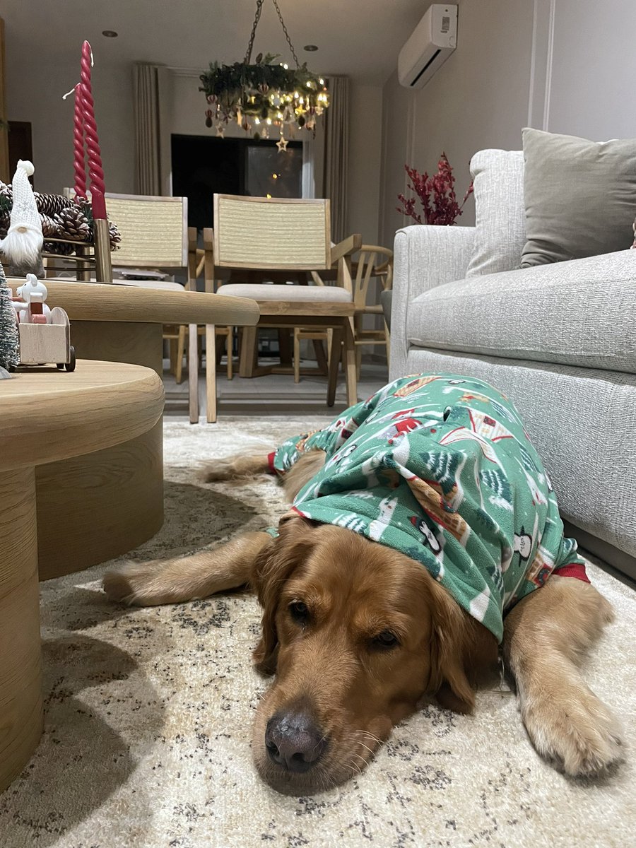 anabelqlugo's tweet photo. Lo más bonito 🥀🎄🕯️ https://t.co/SQhseSncjQ