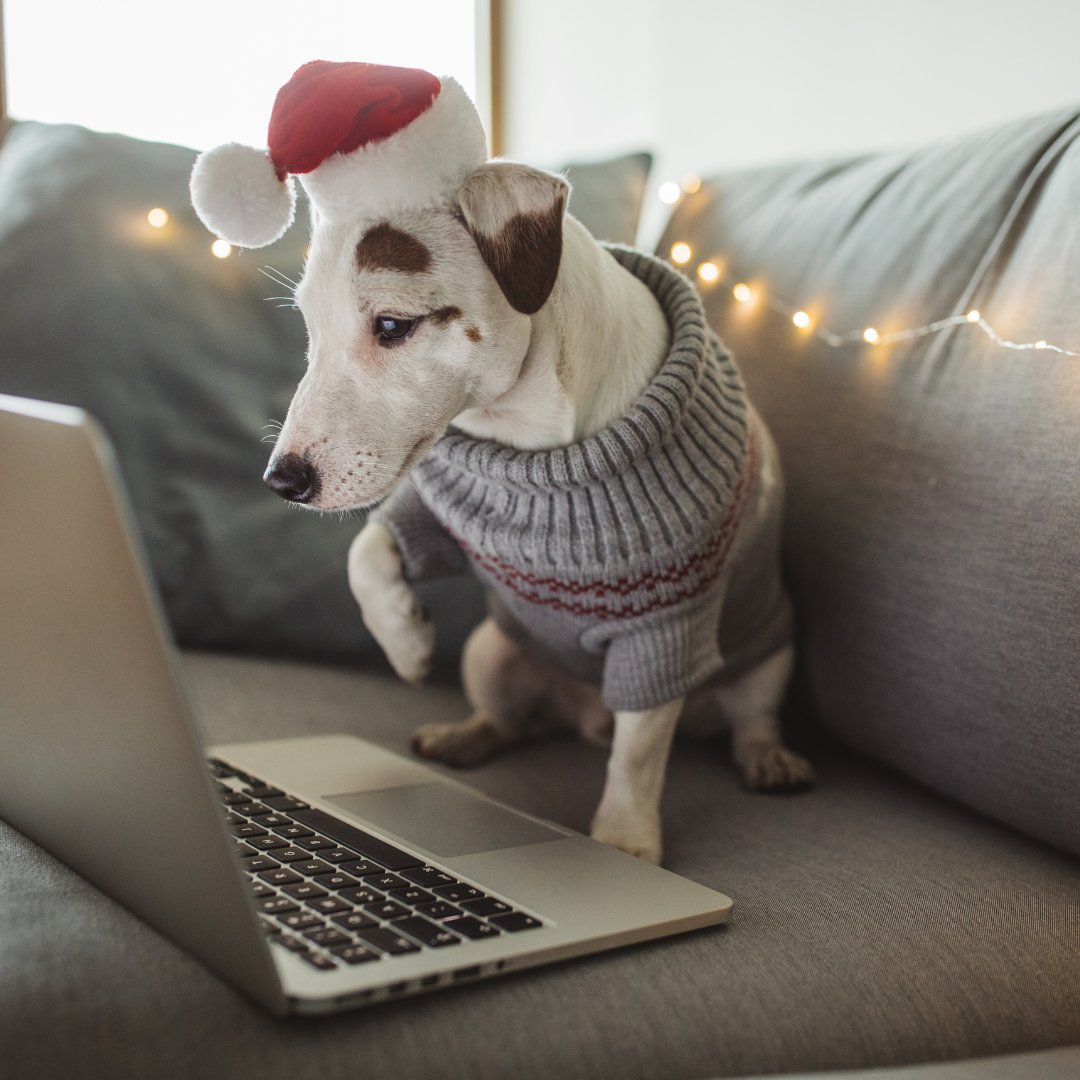 TisBest Philanthropy (@tisbest) on Twitter photo Check off the "impossible to shop for" on your list with help from this guide: The 21 Best Holiday Gifts That Give Back. Each item on this list has been hand selected from companies that go above and beyond to make this holiday season a charitable one. cstu.io/681db9y Check off the "impossible to shop for" on your list with help from this guide: The 21 Best Holiday Gifts That Give Back. Each item on this list has been hand selected from companies that go above and beyond to make this holiday season a charitable one. cstu.io/681db9y