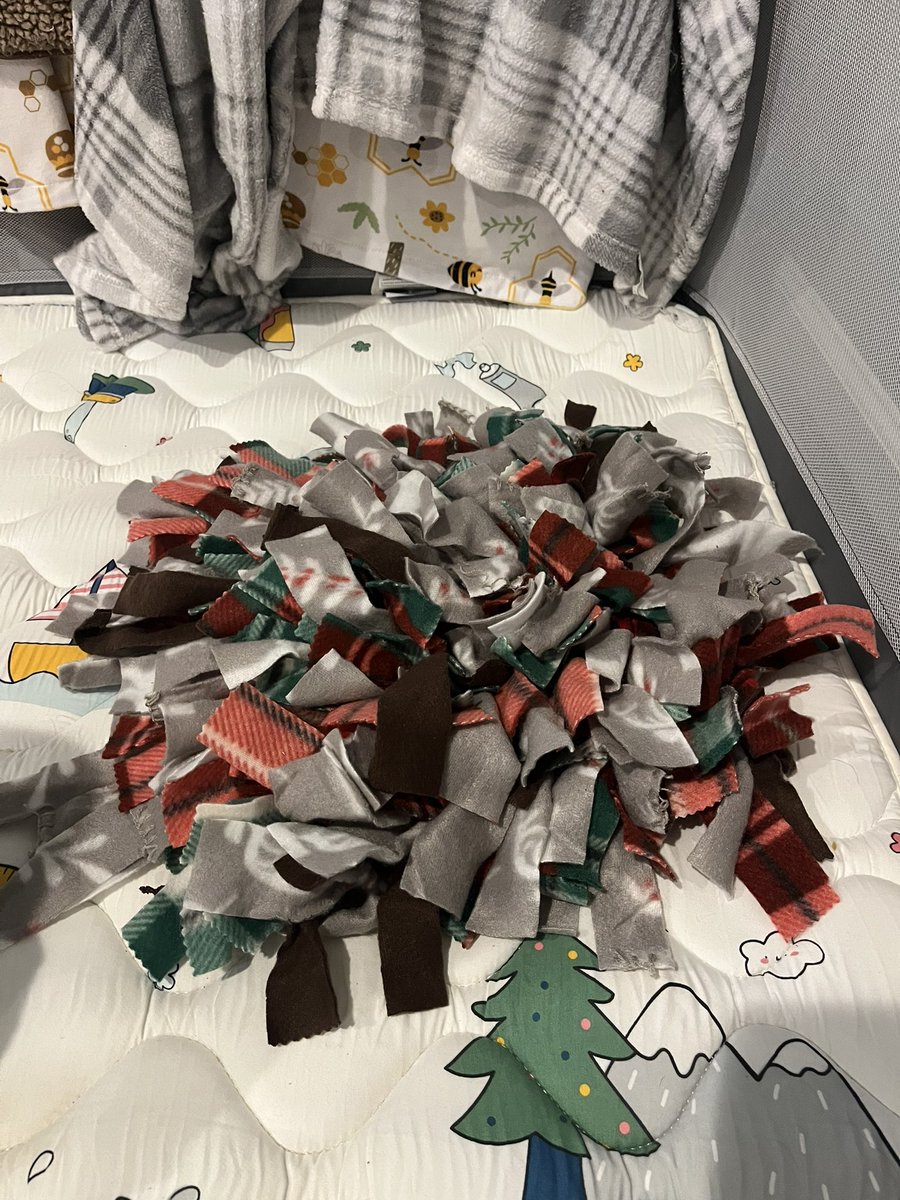 Patienc19117832's tweet photo. @BlessedMess_ Snuffle mat for the dogs! I’m doing it for my dogs this year making them myself but I’m sure you can also buy premade but it’s a good way to tire out their minds! Throw treats or food on it for them to find! https://t.co/cUFWtqsmh3
