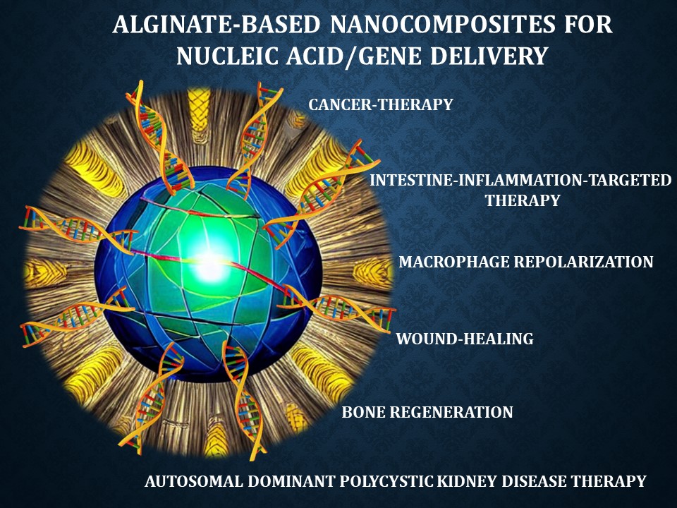 Our new article: "Harnessing alginate-based nanocomposites as nucleic acid/gene delivery platforms to address diverse biomedical issues: A progressive review"
Carbohydrate Polymer Technologies and Applications (Elsevier, IF: 5.5) sciencedirect.com/science/articl…