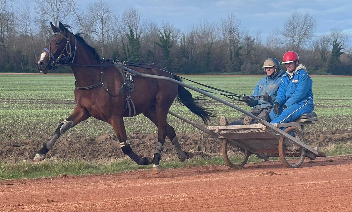 Champion de 🇫🇷 cycliste 2023, candidat au prochain Tour de France et pressenti pour les prochains JO, Valentin Madouas consacre sa vie au 🚲 mais les chevaux de courses sont devenus une échappatoire pour le brestois Notre article 👉🏻 urlz.fr/oNWC