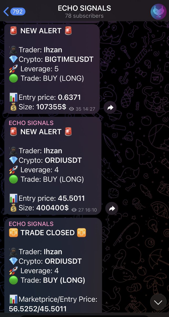 Echo Bot - Empower Your Trades tweet media