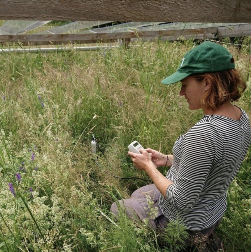 Nina Roth defends her thesis Grasslands in a changing climate: Summer drought and winter warming effects on #grassland vegetation @BolinCentre #climatechange @Stockholm_Uni #AcademicTwitter #teesdale Opponent: Carly Stevens Thursday 7 December Time: 13.00 Zoom ID: 68534967825