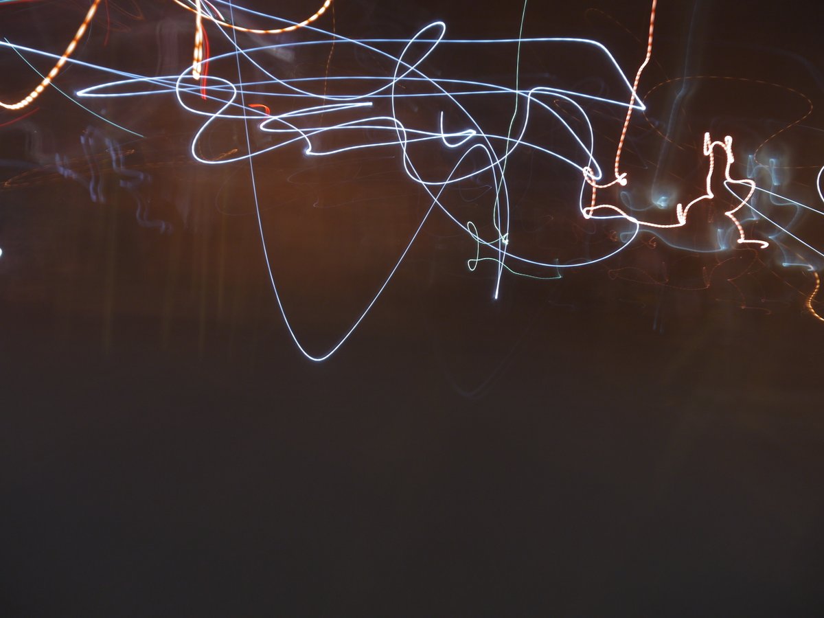 Shout out to my 12-year-old camera for this one, auto-focus truly doing what it wants.