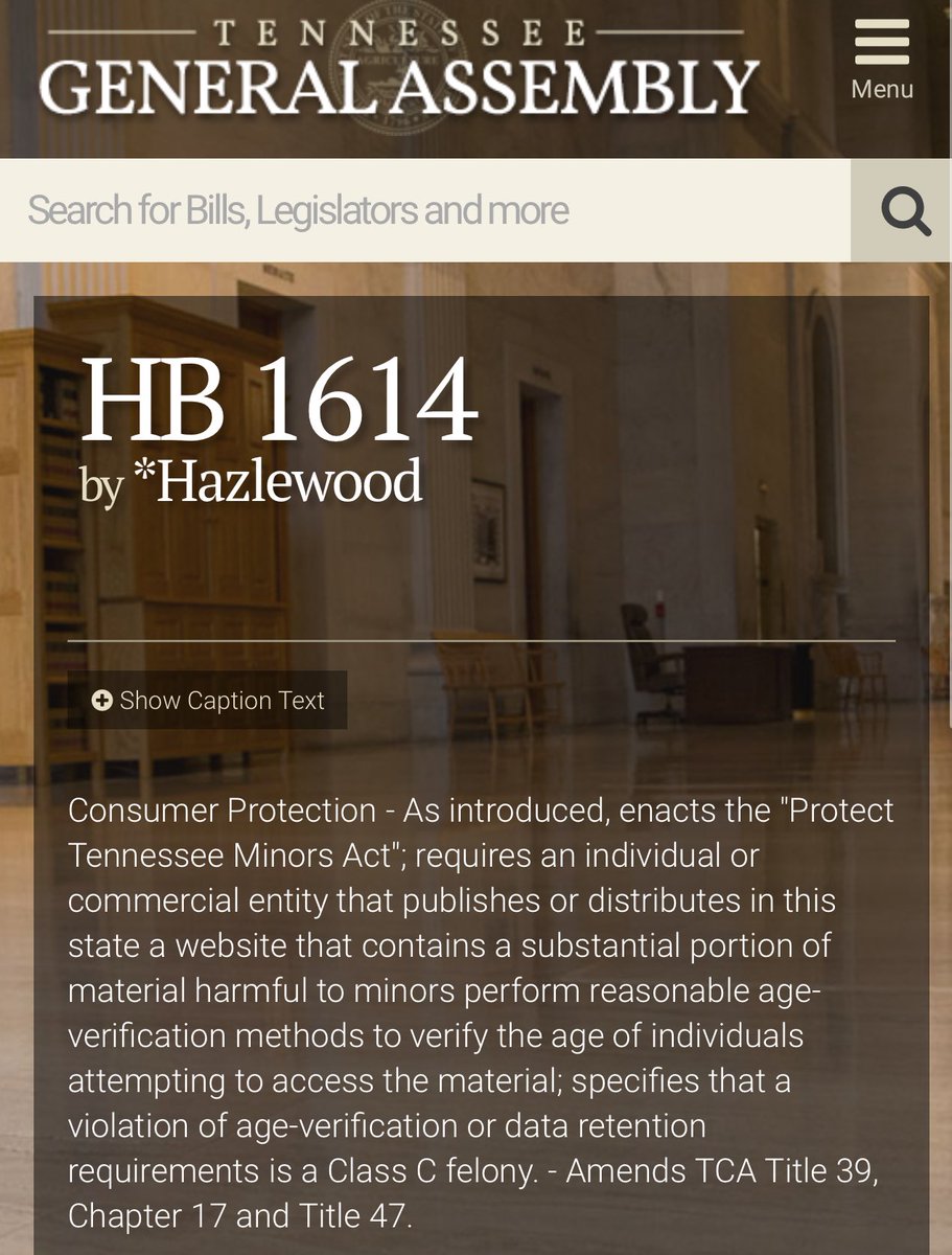 LailaMickelwait's tweet photo. Today a bill was introduced in Tennessee that would make it a felony crime for p*rn sites to allow child access by refusing to enact reliable age verification.

There’s a bipartisan wave of lawmakers across the world working to protect kids from crime scenes like P*rnhub. https://t.co/HTy4PsrJWc