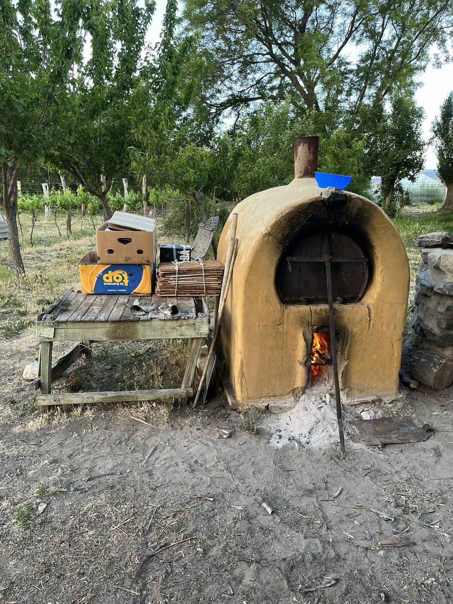Drying specimens and cooking dinner. <a href="/PPaleofloras/">Patagonia Paleofloras</a> <a href="/BaileyHortorium/">CornellHerbarium</a> <a href="/mefpatagonia/">MuseoEgidioFeruglio</a>