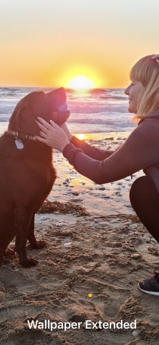 ritawitch's tweet photo. My gorgeous boy ozzy he’s 9 now 😞!! On the beach in Cornwall nothing is like he love of a dog 🐶 my boy ozzy  😘 https://t.co/95OvCOj9Q0